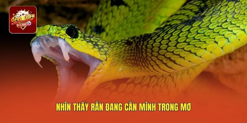 Nhìn thấy rắn đang cắn mình trong mơ