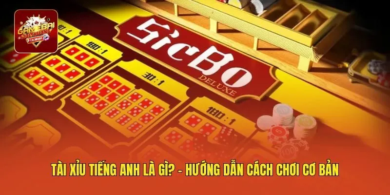 Tài xỉu tiếng anh là gì? - Hướng dẫn cách chơi cơ bản